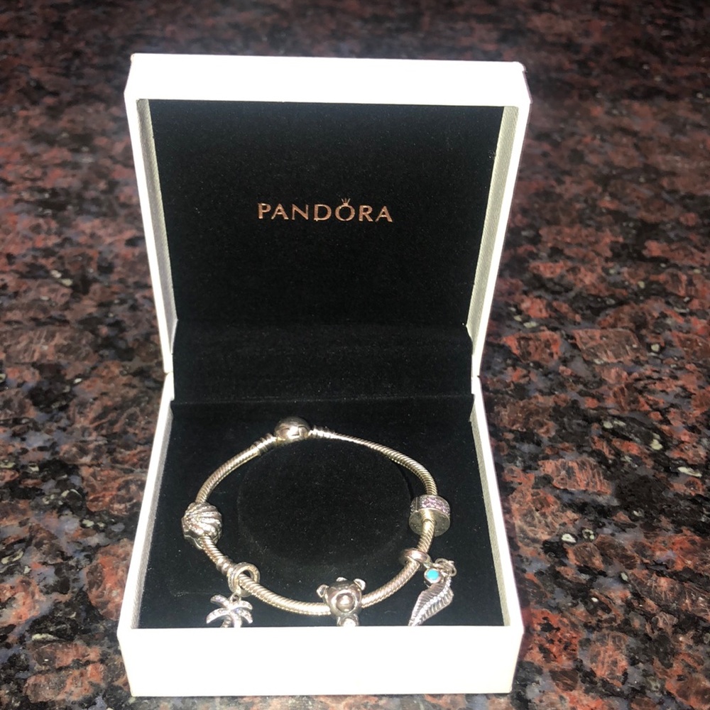 Pandora Bracelet With 5 Charms